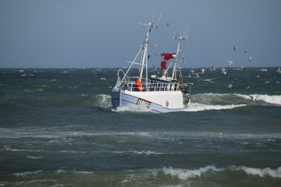 Fisch-Fanggrenzen bis 2020: Minister fühlen sich nicht an EU-Recht gebunden Fisch-Fanggrenzen bis 2020: Minister fühlen sich nicht an EU-Recht gebunden