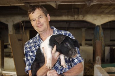 Höhere Mehrwertsteuern reichen für echtes Tierwohl nicht aus Höhere Mehrwertsteuern reichen für echtes Tierwohl nicht aus