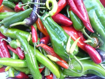 Internationaler Tag des Artenschutzes: Zukunft unserer Ernährung mit der Gabel sichern Internationaler Tag des Artenschutzes: Zukunft unserer Ernährung mit der Gabel sichern