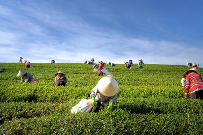 Systemwandel unabdingbar: Die Corona-Krise hebt die Probleme des Ernährungssystems hervor Systemwandel unabdingbar: Die Corona-Krise hebt die Probleme des Ernährungssystems hervor