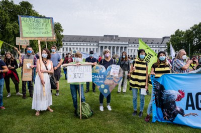 Demonstration zum EU-Agrargipfel: Höfe erhalten, Insekten retten & Klima schützen Demonstration zum EU-Agrargipfel: Höfe erhalten, Insekten retten & Klima schützen