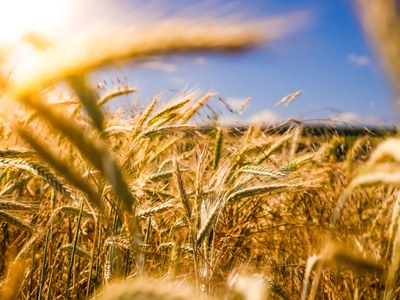 EU-Farm to Fork Strategie: Die wichtigsten Infos auf einen Blick EU-Farm to Fork Strategie: Die wichtigsten Infos auf einen Blick