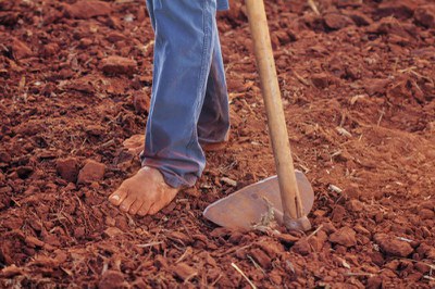 Landarbeiter*innen ohne Rechte: Die Europäische Lebensmittelversorgung steht auf wackligen Füßen Landarbeiter*innen ohne Rechte: Die Europäische Lebensmittelversorgung steht auf wackligen Füßen