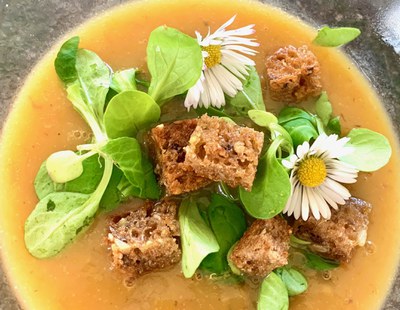 Rezept-Tipps aus dem Netzwerk: Kartoffelsüppchen mit frischem Feldsalat, Roggencroutons und Gänseblümchen Rezept-Tipps aus dem Netzwerk: Kartoffelsüppchen mit frischem Feldsalat, Roggencroutons und Gänseblümchen