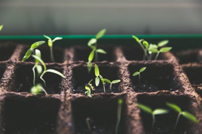 Ernährungsbildung: Slow Food Deutschland startet neues Projekt mit Lerngarten in Kreisau/Polen Ernährungsbildung: Slow Food Deutschland startet neues Projekt mit Lerngarten in Kreisau/Polen