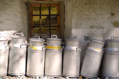 Weltmilchtag: Neue Milch-Landkarte weist den Weg zur guten Milch Weltmilchtag: Neue Milch-Landkarte weist den Weg zur guten Milch
