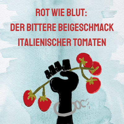 Audio-Feature der Slow Food Youth: Rot wie Blut: Der bittere Beigeschmack italienischer Tomaten Audio-Feature der Slow Food Youth: Rot wie Blut: Der bittere Beigeschmack italienischer Tomaten