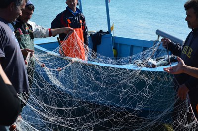 Klimakrise bedroht die Fischerei - „End of Fish Day“ jetzt schon im März Klimakrise bedroht die Fischerei - „End of Fish Day“ jetzt schon im März