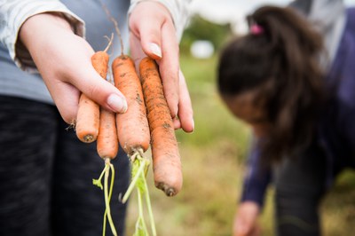 Mehr Wertschätzung, bessere Wertschöpfung: Damit aus „bio“ biokulturelle Vielfalt wird Mehr Wertschätzung, bessere Wertschöpfung: Damit aus „bio“ biokulturelle Vielfalt wird