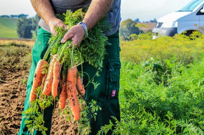 Nur ein gesundes System schafft gesunde Lebensmittel – Mit der Gemeinwohlökonomie zu einer besseren (Land-)Wirtschaft Nur ein gesundes System schafft gesunde Lebensmittel – Mit der Gemeinwohlökonomie zu einer besseren (Land-)Wirtschaft