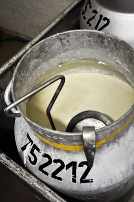 Slow Food unterstützt Forschungsgruppe durch Milch-Expertise Slow Food unterstützt Forschungsgruppe durch Milch-Expertise