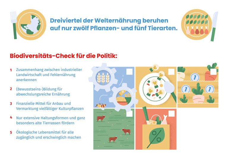 K-slow-food-infografik-biodiversitaet-elisabeth-deim.jpg