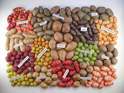 UN Weltnaturkonferenz COP15 beschließt globales Abkommen zum Biodiversitätsschutz: Slow Food begrüßt UN-Rahmenwerk und fordert konsequente Umsetzung UN Weltnaturkonferenz COP15 beschließt globales Abkommen zum Biodiversitätsschutz: Slow Food begrüßt UN-Rahmenwerk und fordert konsequente Umsetzung