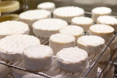 Cheese 2023: Agrarökologie zur Sicherung einer nachhaltigen Zukunft für die Milchwirtschaft