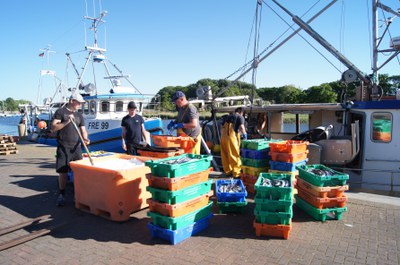 „End of Fish Day“ 2023 so früh wie noch nie: Stichtag markiert Ende des Selbstversorgungsgrads mit Fisch in Deutschland „End of Fish Day“ 2023 so früh wie noch nie: Stichtag markiert Ende des Selbstversorgungsgrads mit Fisch in Deutschland