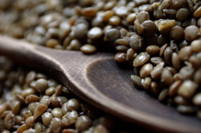 Geplanter EU-Rechtsrahmen für nachhaltige Lebensmittelsysteme: Wie dieser aus Slow-Food-Sicht aussehen muss Geplanter EU-Rechtsrahmen für nachhaltige Lebensmittelsysteme: Wie dieser aus Slow-Food-Sicht aussehen muss