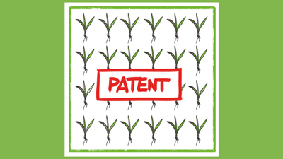 Mehr als 1.000 Pflanzensorten von Patenten betroffen: Traditionelle Pflanzenzucht und Ernährungssicherheit gefährdet
