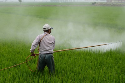 Pestizid Aktionswoche: Mit diesen 5 Tipps können Sie sich gegen die für Mensch, Tier und Umwelt schädlichen Pestizide einsetzen