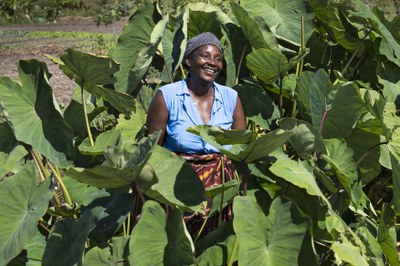 Verkehrte Welt: Internationaler Slow-Food-Präsident über Afrikas Ernährungsparadox Verkehrte Welt: Internationaler Slow-Food-Präsident über Afrikas Ernährungsparadox