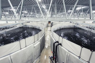 Meeresfisch im Binnenland? Fischzucht in geschlossenen Indoor- Kreislaufanlagen Meeresfisch im Binnenland? Fischzucht in geschlossenen Indoor- Kreislaufanlagen