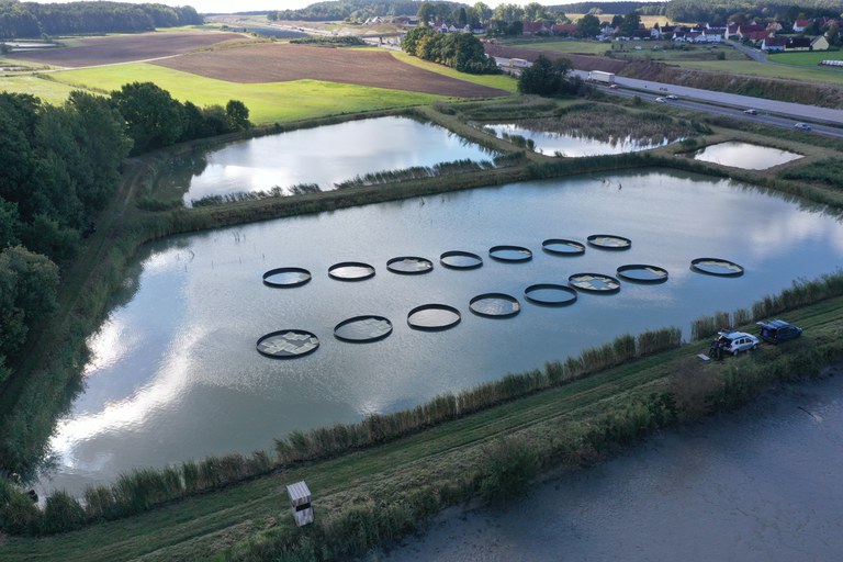 Kreisförmige Beschattungselemente auf einem Teich aus der Vogelperspektive