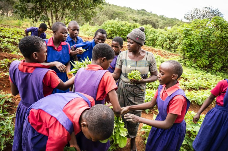Frauen und Kinder in Malawi (c) SFI.jpeg
