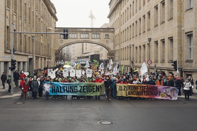 (c) Moritz Richter.jpg