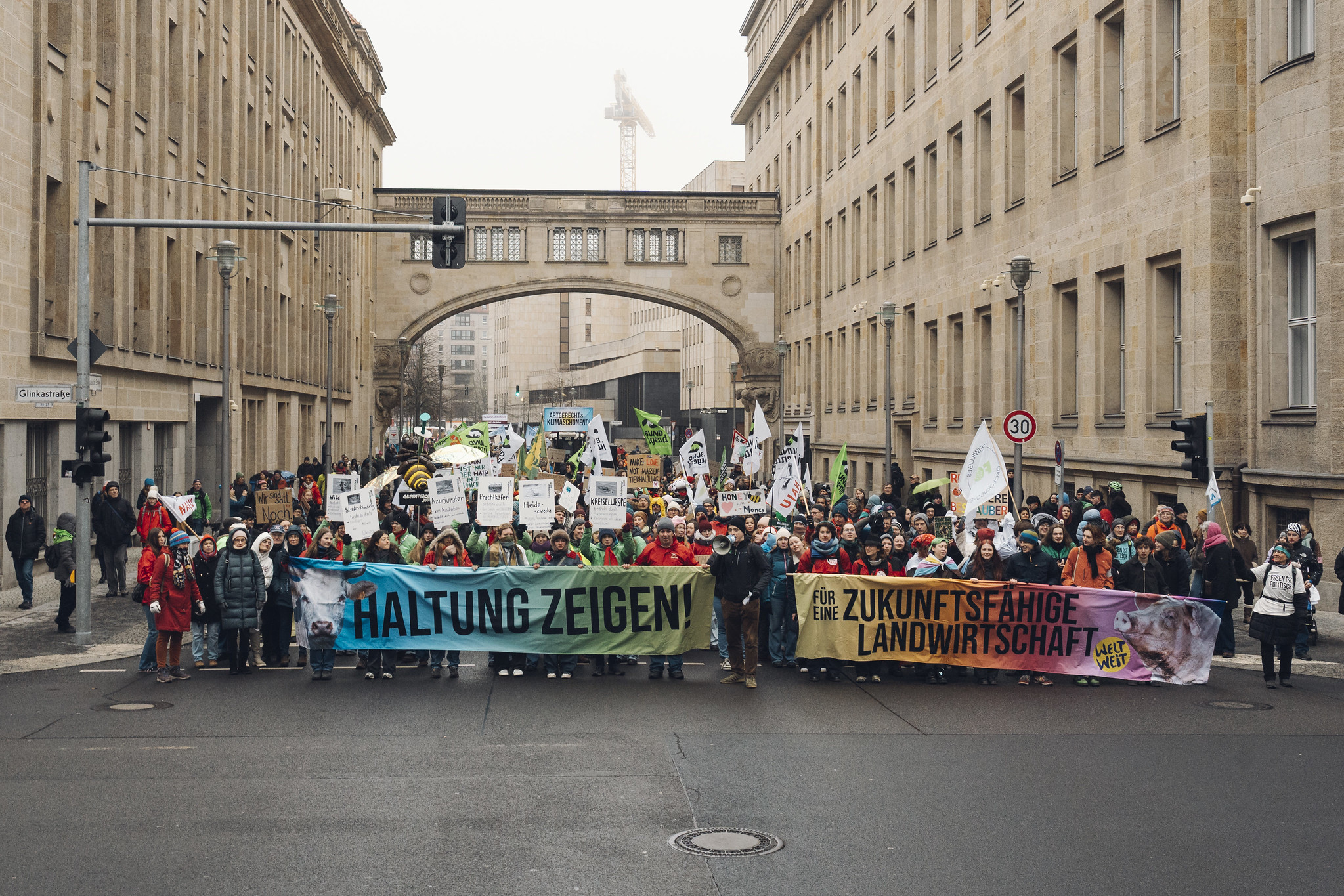 (c) Moritz Richter.jpg