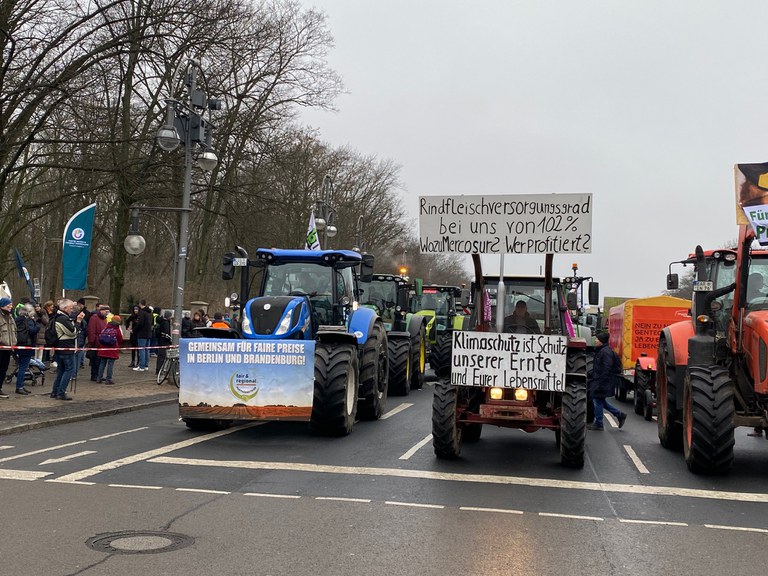 WHES 2026 Mercosur (c) Sharon Sheets.jpg