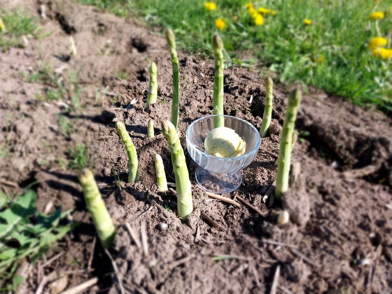 Spargel Eis (c) Dirk Wolters.jpg