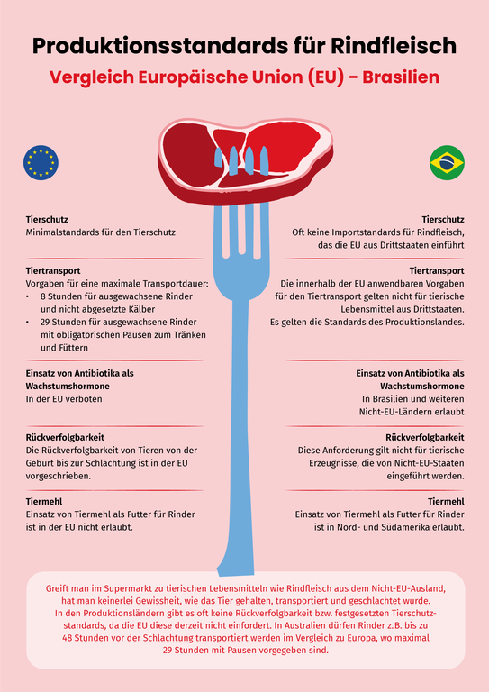 Rindfleisch aus Brasilien vs. EU-Standards: Tierschutz, Transport, Antibiotika, Rückverfolgbarkeit, Tiermehl im Vergleich. © Slow Food Deutschland Infografik: Vergleich der Produktionsstandards für Rindfleisch zwischen EU und Brasilien im Rahmen der Slow-Food-Kampagne für Spiegelmaßnahmen