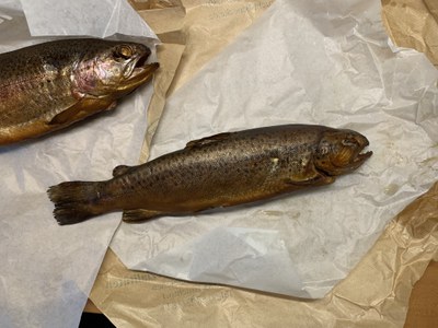 Tag der Fische 2026, geräucherte Forellenfilets – handwerklich zubereitet auf dem Forellenhof Benecke © Slow Food Deutschland Zwei geräucherte Forellen auf Packpapier