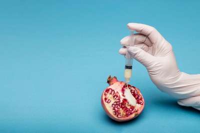 Slow Food verurteilt die Abstimmung der EU zur Deregulierung neuer Gentechnik: Verrat an Landwirt*innen, Biodiversität und Bürgerrechten