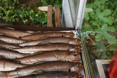 Tag der Fisch 2026, frisch geräucherte Forellen aus eigener Räucherei © Slow Food Deutschland Geräucherte Forellen aufgereiht auf einem Verkaufstisch im Freien