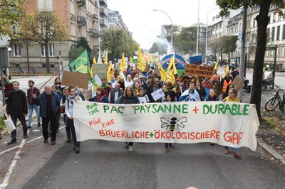 Demonstration zum EU-Parlament: Mit den Subventionen die Bauernhöfe retten und die europäische Agrarwende umsetzen!