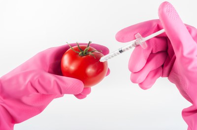 Neue Gentechnik: Droht das Ende der Freiheit auf eine gentechnikfreie Ernährung?