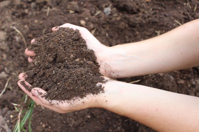 Gesunder Boden, gesunde Lebensmittel: Einladung zum Bodentag 2019
