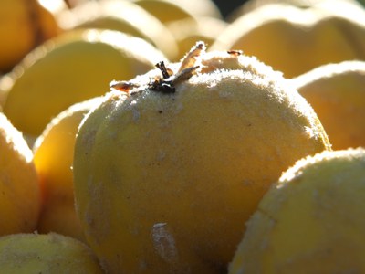 Markthelden 2019: „Ich bin Teil des Naturkreislaufs.“