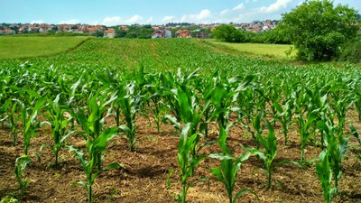 Ackerlandvergabe: Erstmals gemeinwohlorientierte Vergabekriterien von öffentlichem Land