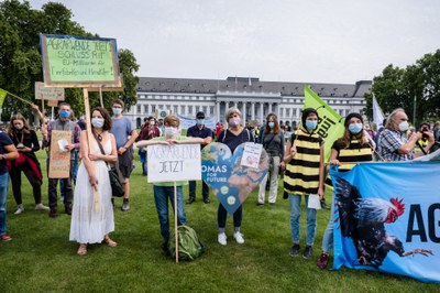Demonstration zum EU-Agrargipfel: Höfe erhalten, Insekten retten & Klima schützen