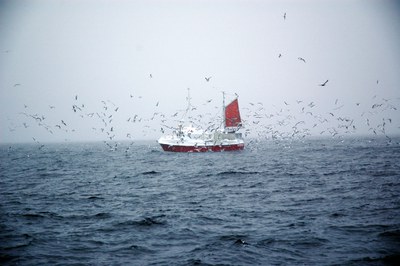 End of Fish Day 2020: Zukunftsfähiges Fischereimanagement unausweichlich