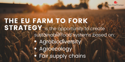 Farm to Fork-Strategie: Europa muss sich vom Narrativ der Produktionssteigerung lösen
