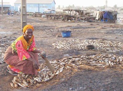 Fischerei: Senegals Fischer rufen um Hilfe gegen Plünderung durch fremde Trawler