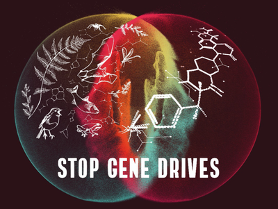 Gene Drive: Artensterben dank Gentechnik?