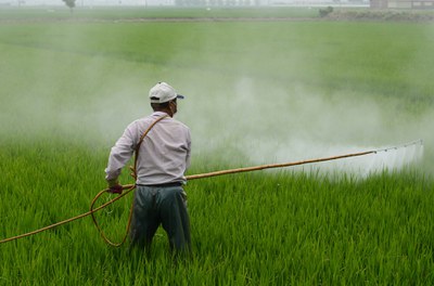 Landwirtschaft mit Zukunft: Themenwoche gegen Pestizide