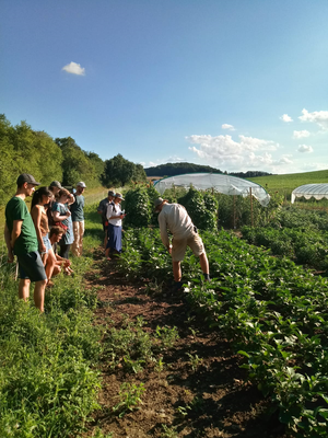 News aus dem Slow Food Youth Deutschland Netzwerk