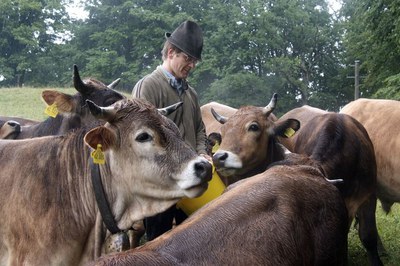 Vielfalt auf dem Teller, Vielfalt in der Natur: Slow Food und der Wert der biokulturellen Vielfalt