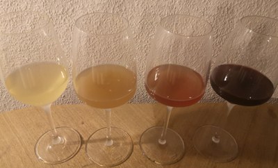 Naturweine im Glas.jpg