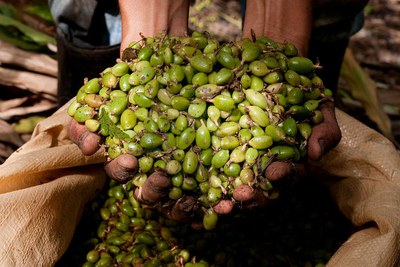 Slow Food Jahresthemen: Fairness und Getränke