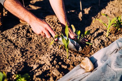 Welternährungstag 2021: Slow Food fordert integrierte Ernährungspolitik